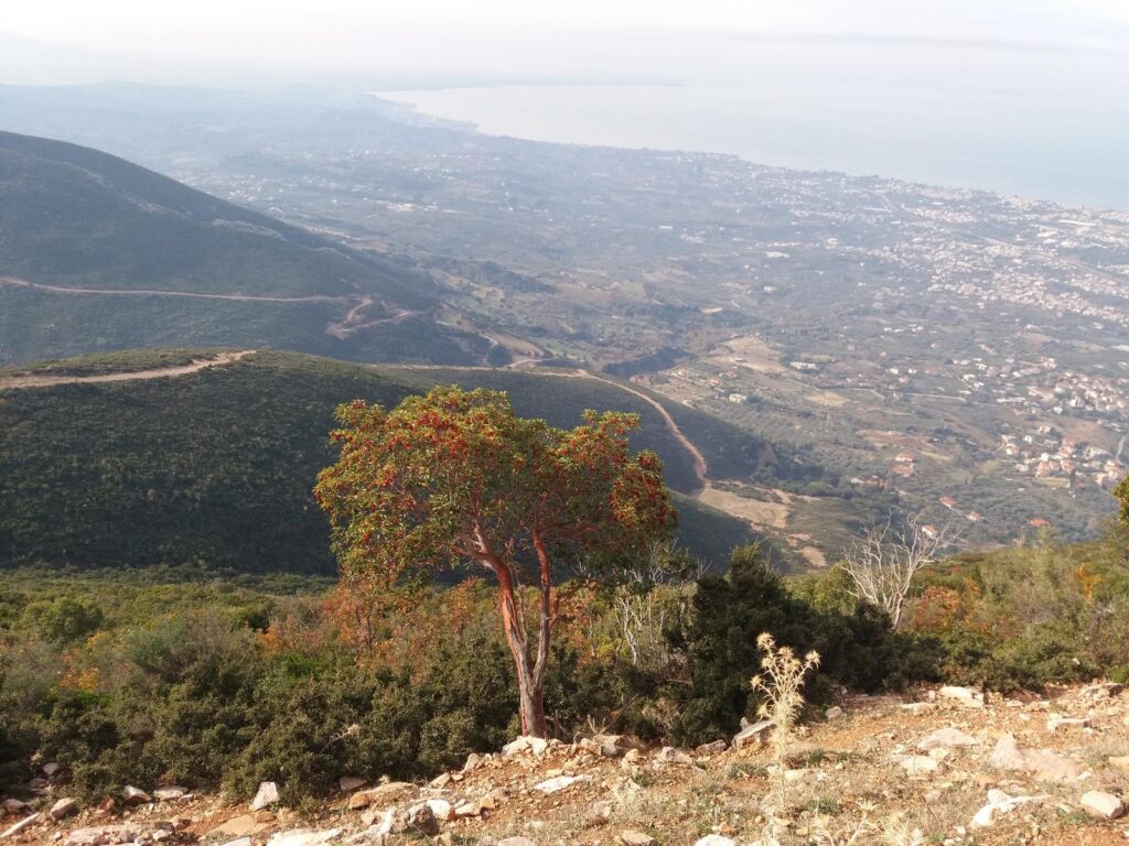 Στιγμή 3 από τη διαδρομή