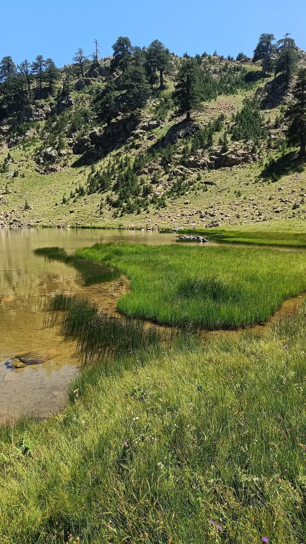 Στιγμή 12 από πεζοπορική διαδρομή του 270 Hike Club