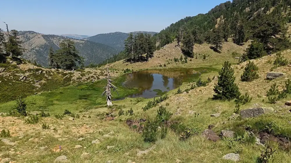 Στιγμή 13 από πεζοπορική διαδρομή του 270 Hike Club