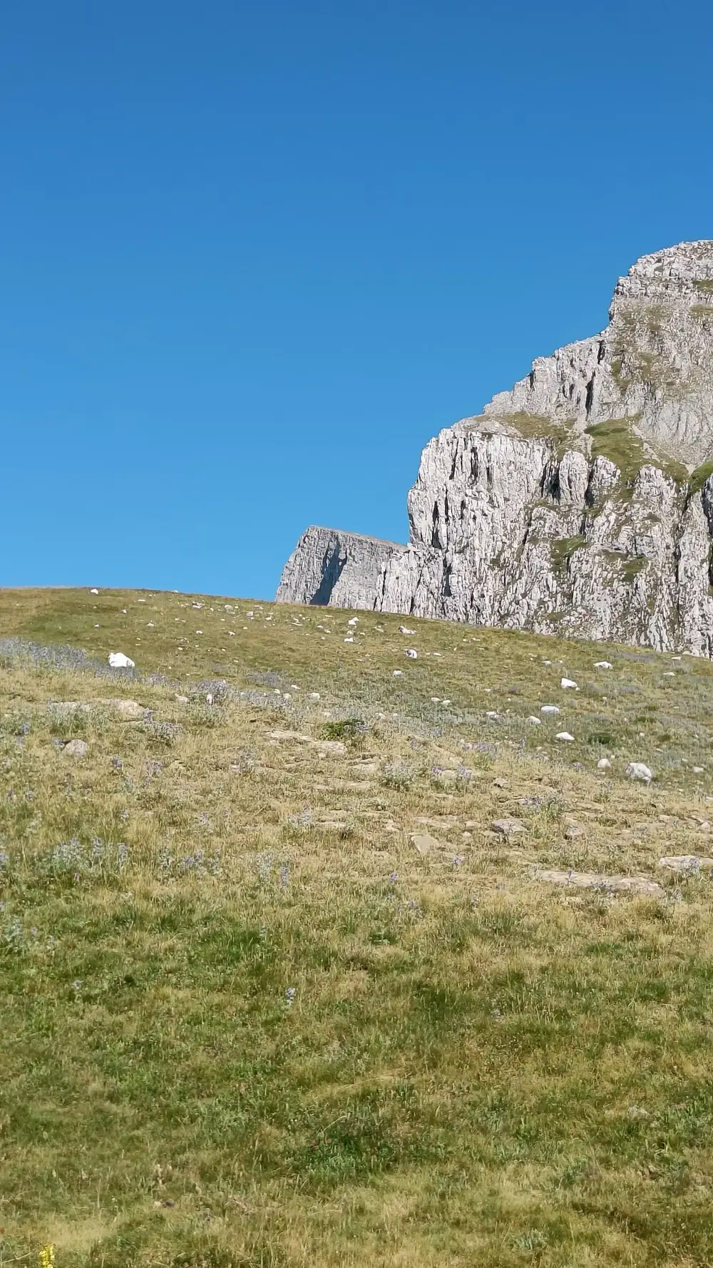 Στιγμή 42 από πεζοπορική διαδρομή του 270 Hike Club