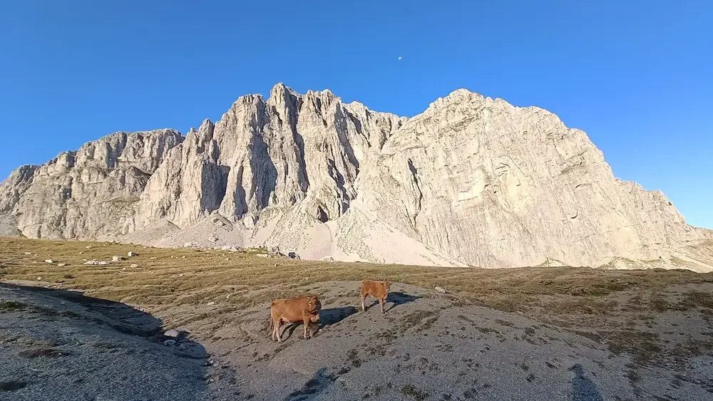 Στιγμή 55 από πεζοπορική διαδρομή του 270 Hike Club