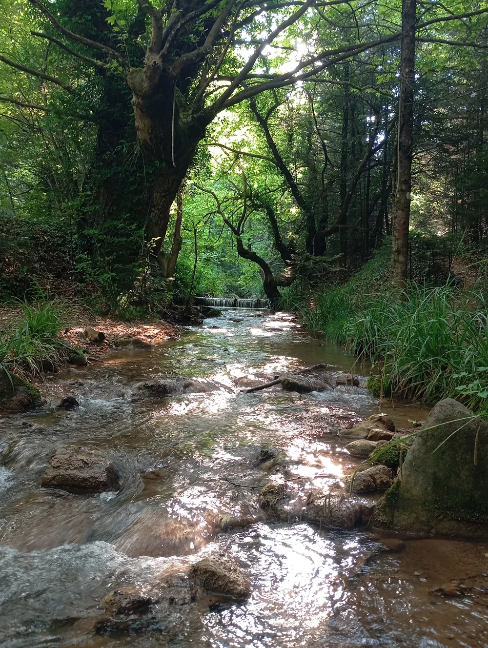 Στιγμή 61 από πεζοπορική διαδρομή του 270 Hike Club