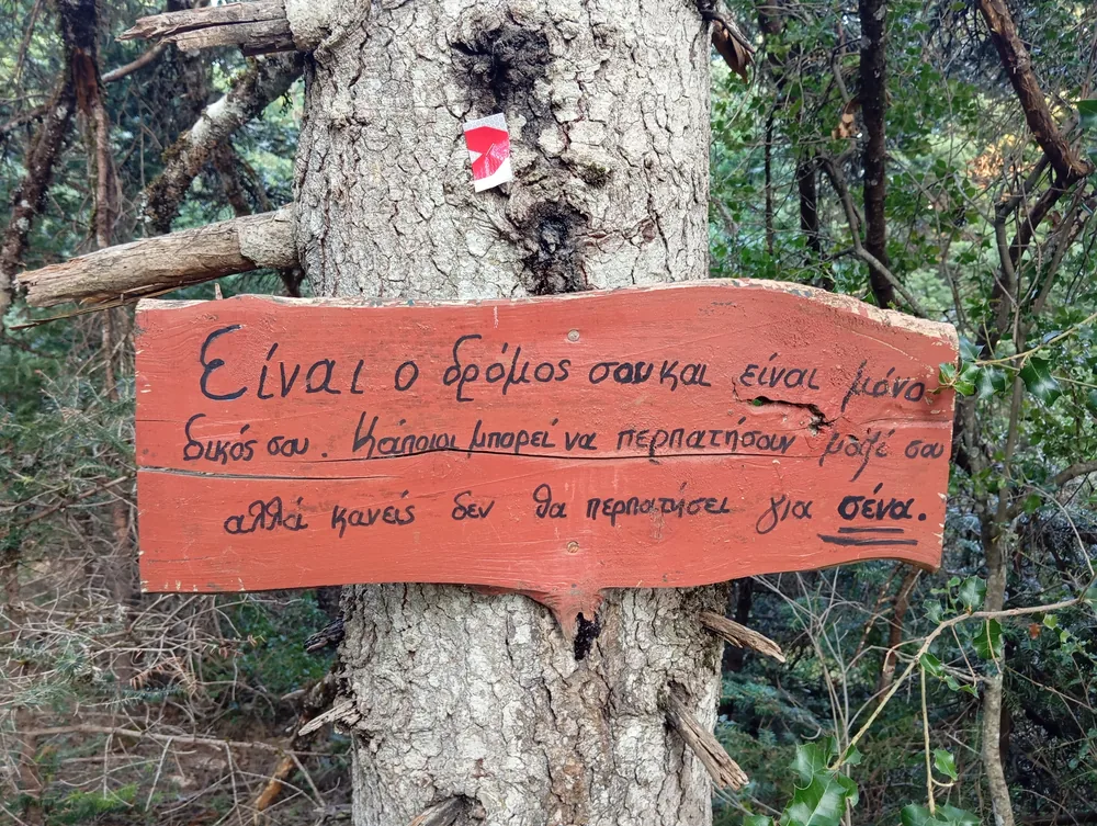 Στιγμή 63 από πεζοπορική διαδρομή του 270 Hike Club