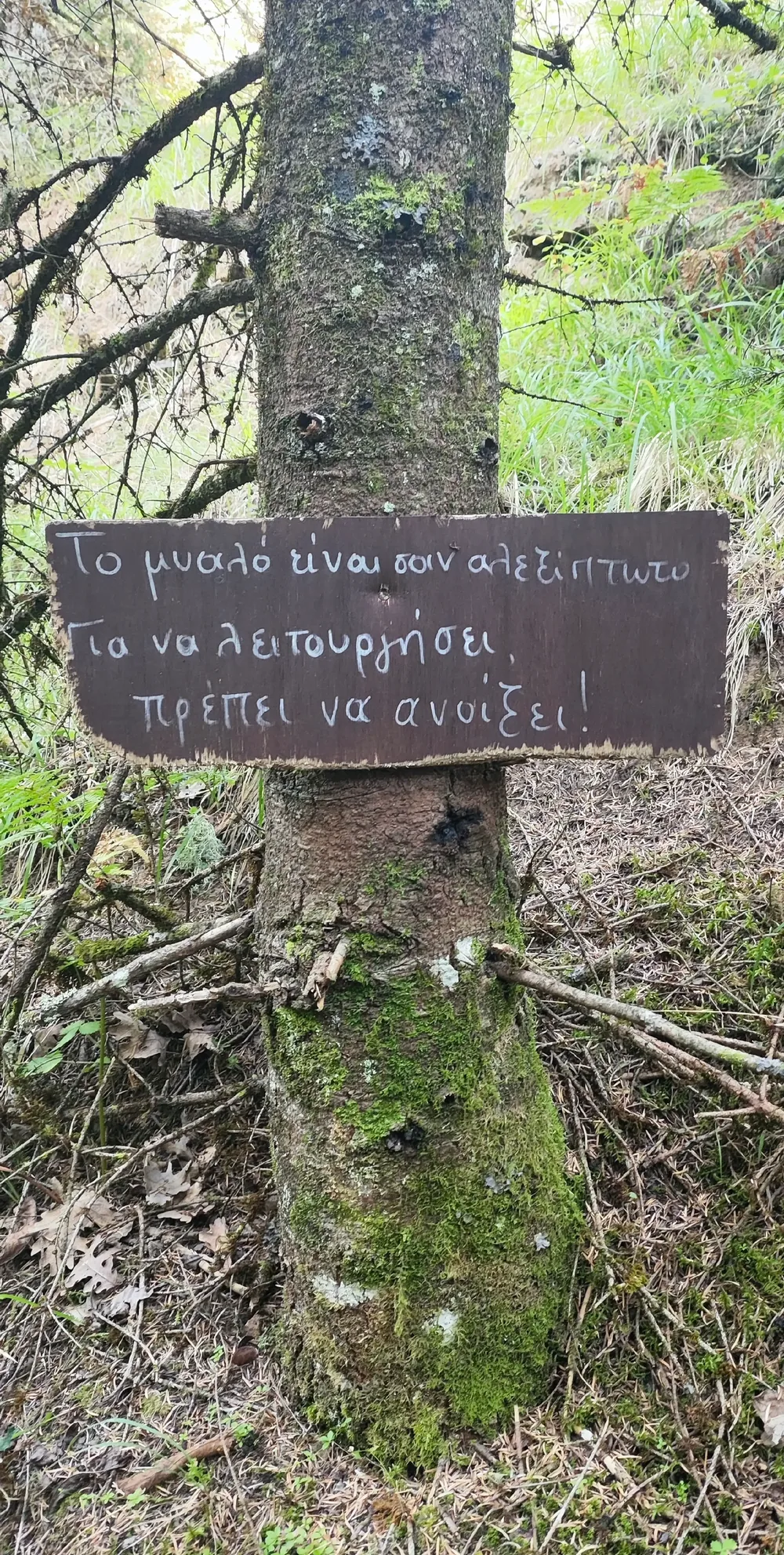 Στιγμή 65 από πεζοπορική διαδρομή του 270 Hike Club