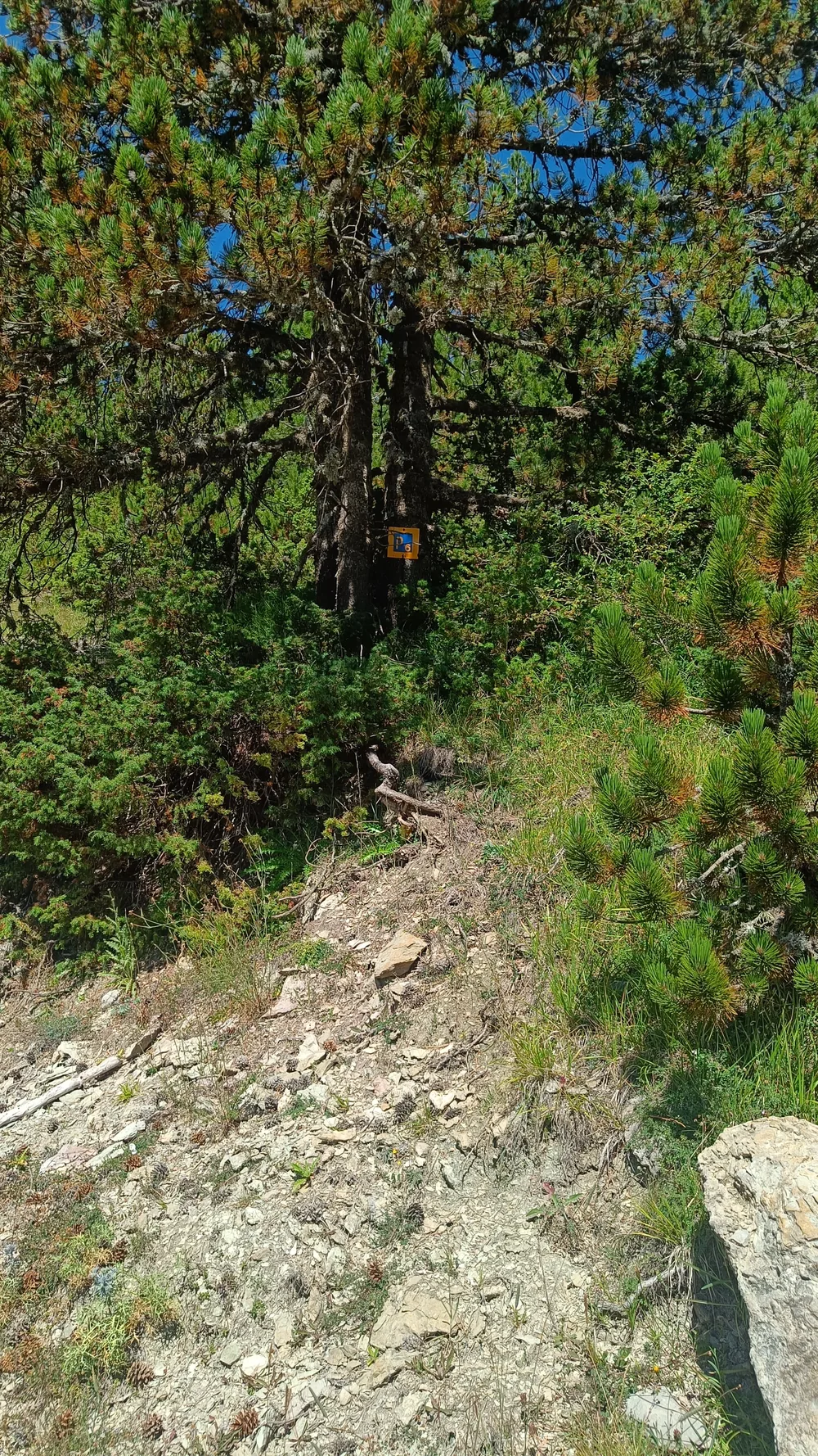 Στιγμή 71 από πεζοπορική διαδρομή του 270 Hike Club