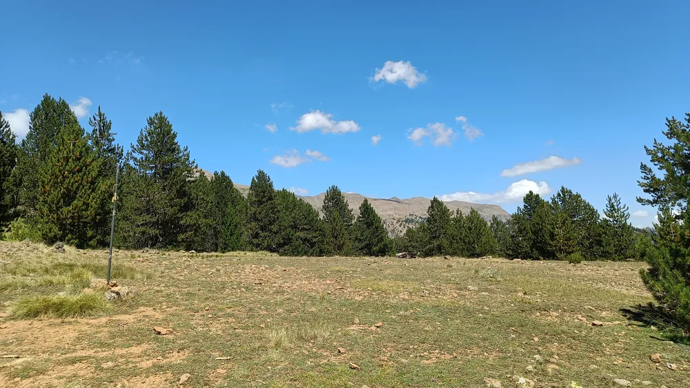 Στιγμή 81 από πεζοπορική διαδρομή του 270 Hike Club