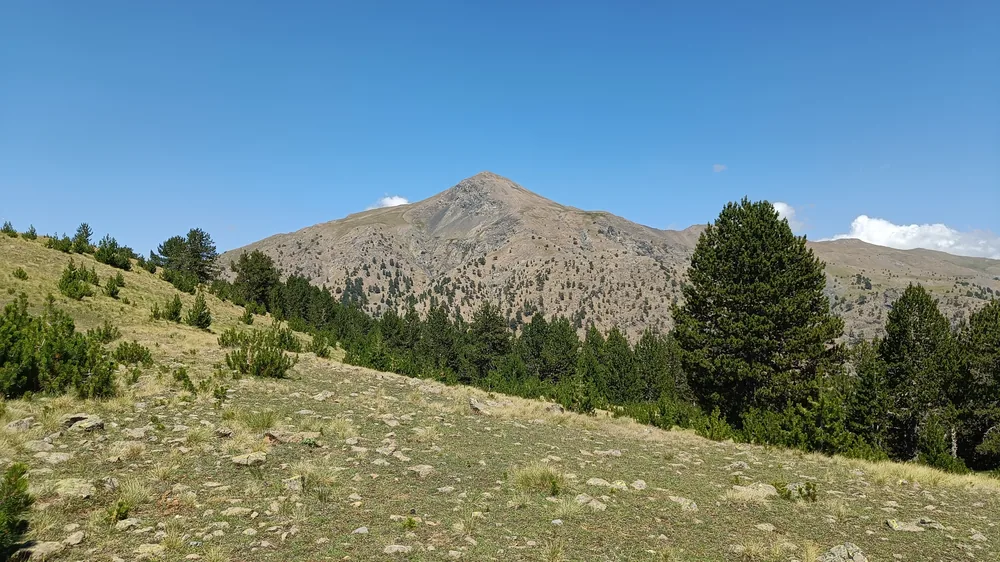 Στιγμή 82 από πεζοπορική διαδρομή του 270 Hike Club