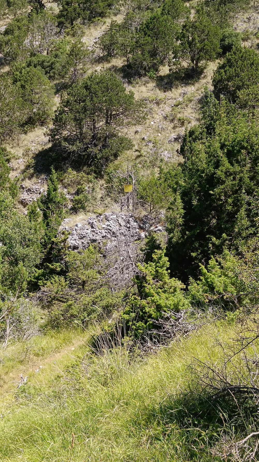 Στιγμή 91 από πεζοπορική διαδρομή του 270 Hike Club