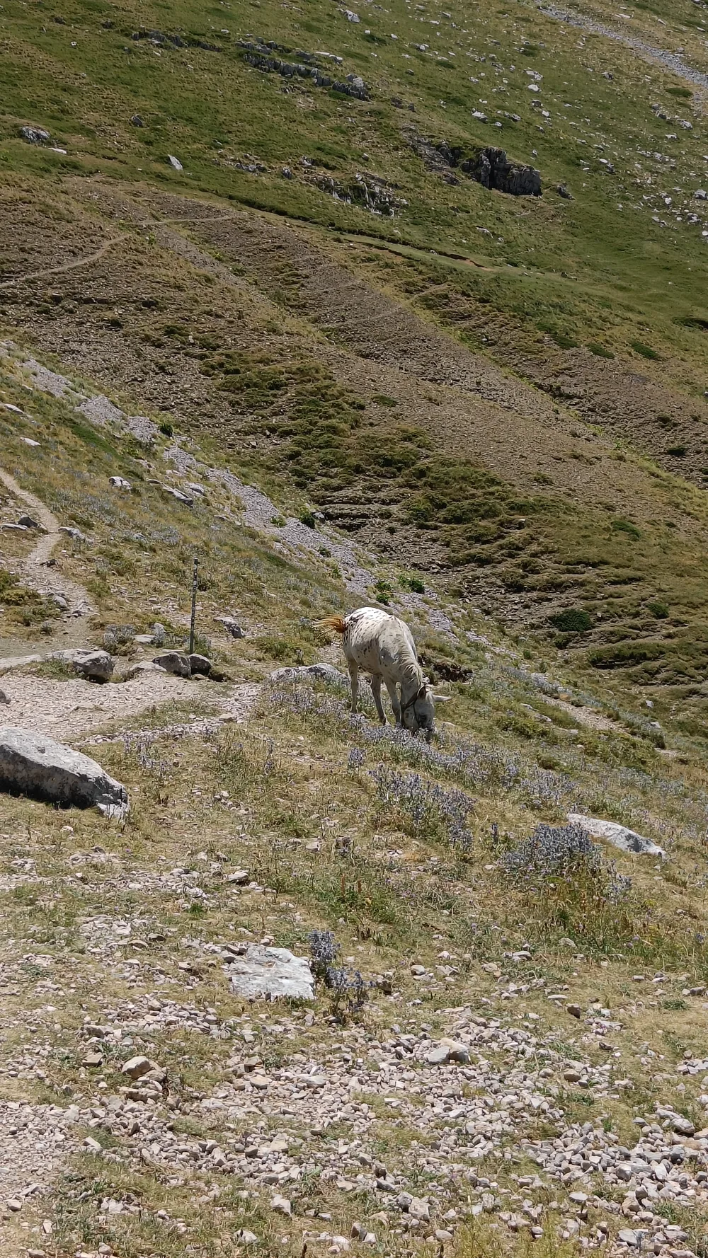Στιγμή 95 από πεζοπορική διαδρομή του 270 Hike Club