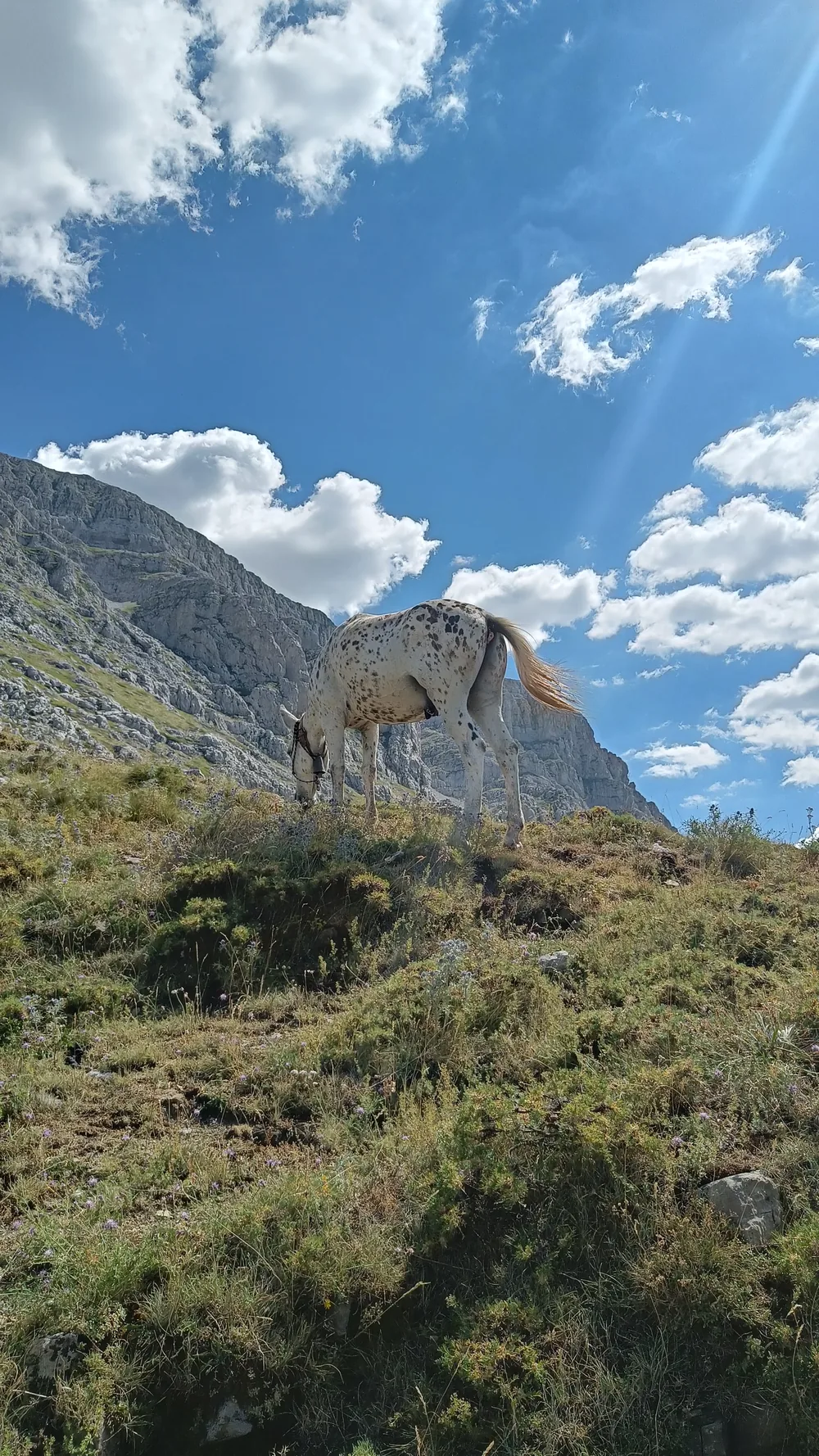 Στιγμή 98 από πεζοπορική διαδρομή του 270 Hike Club