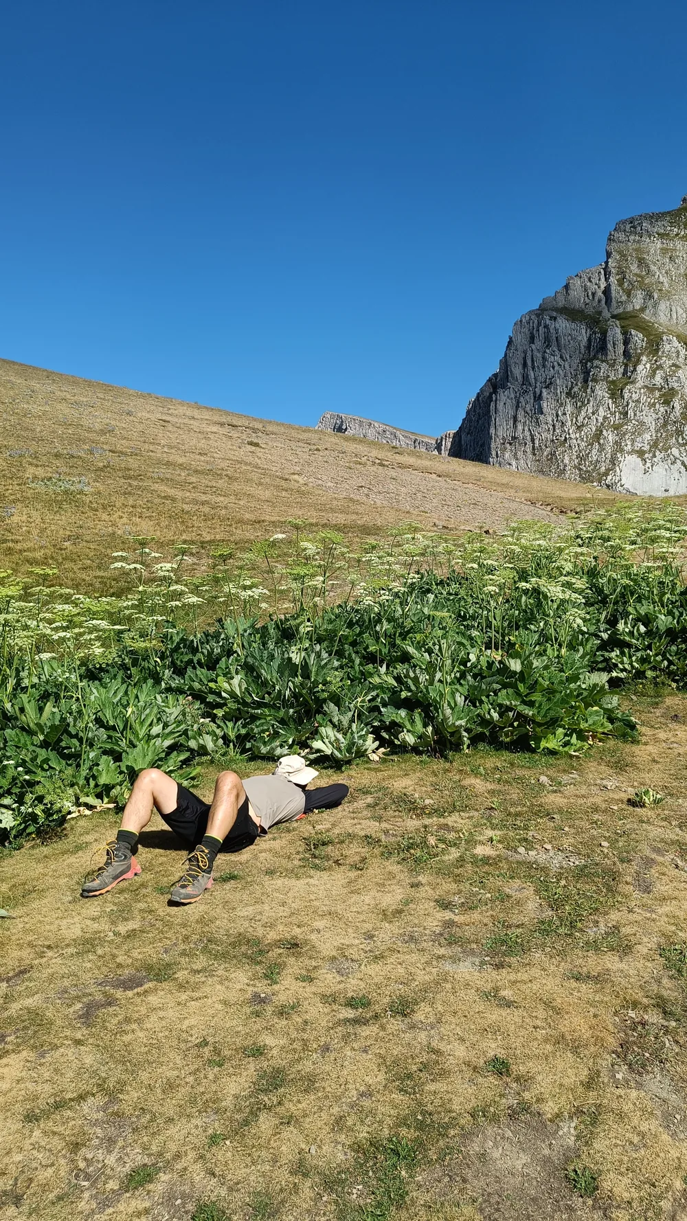 Στιγμή 102 από πεζοπορική διαδρομή του 270 Hike Club