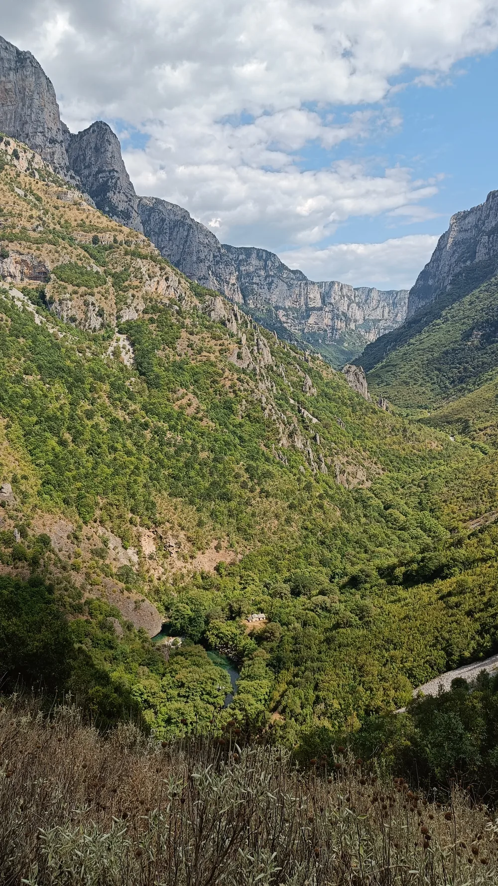 Στιγμή 122 από πεζοπορική διαδρομή του 270 Hike Club