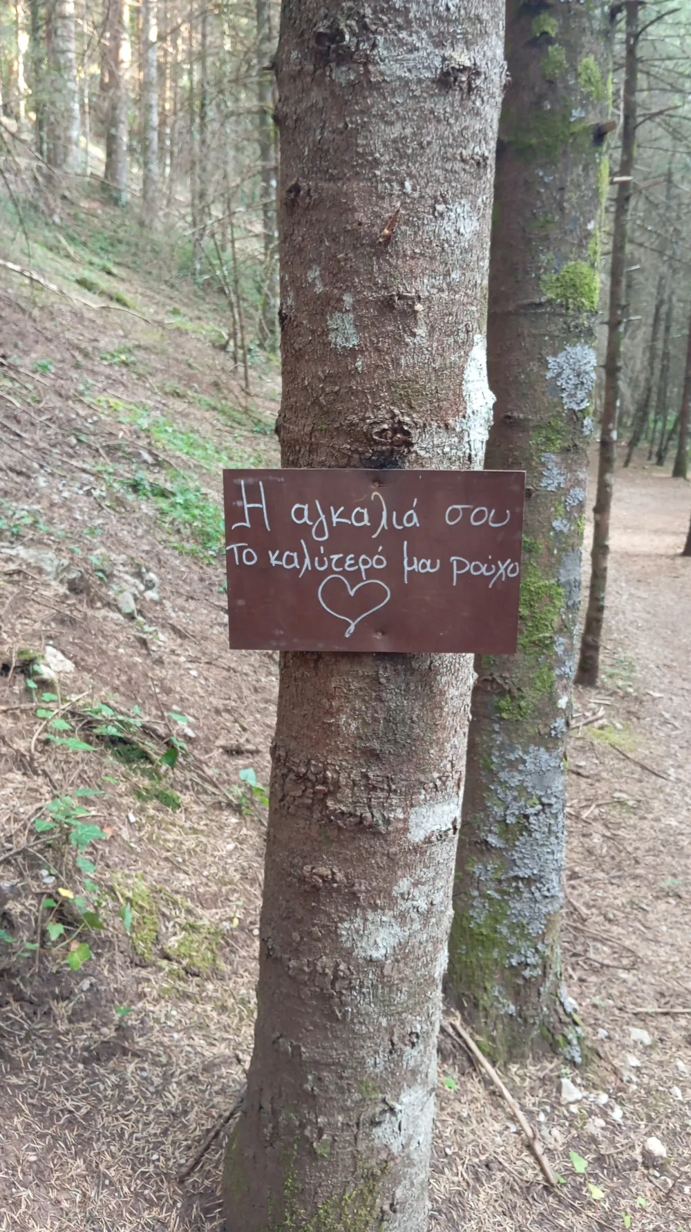 Στιγμή 127 από πεζοπορική διαδρομή του 270 Hike Club