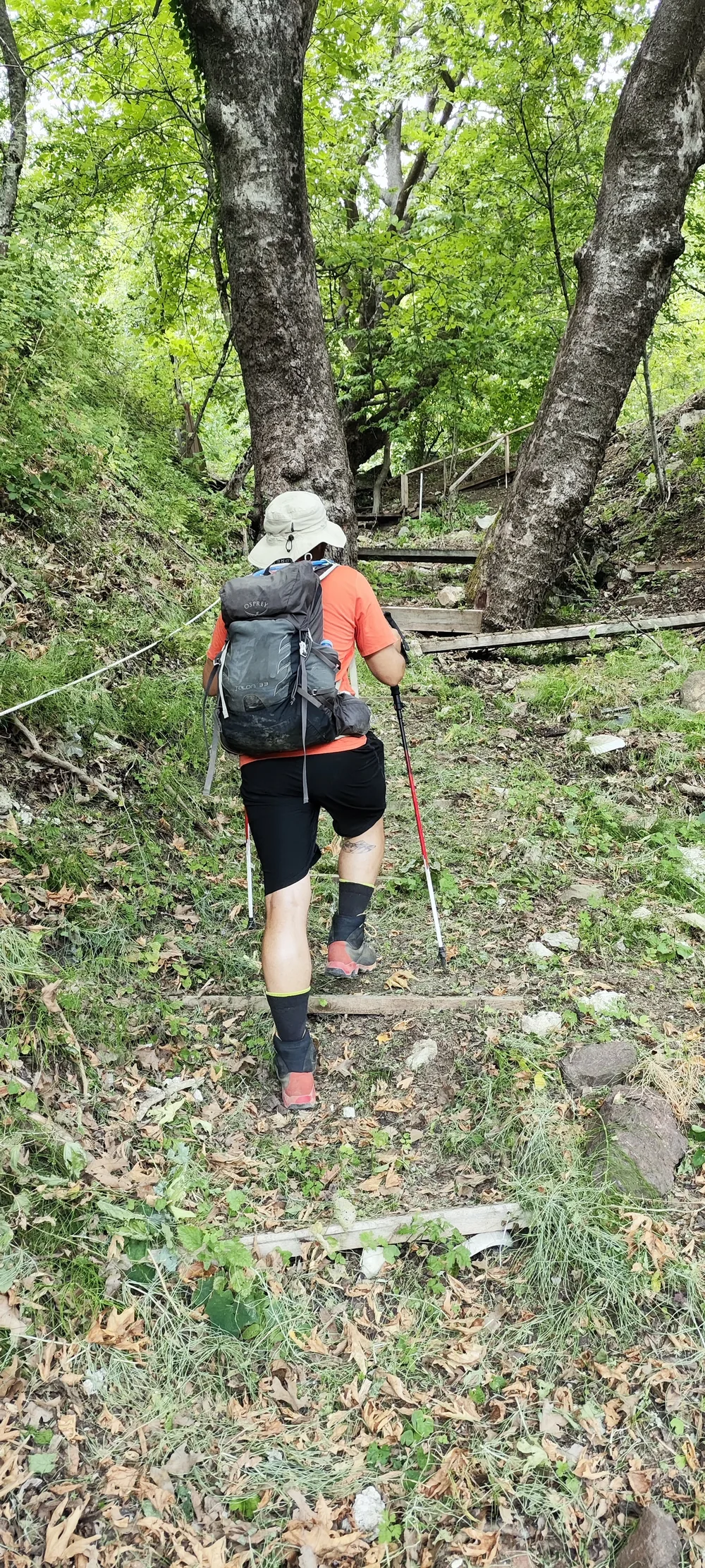 Στιγμή 154 από πεζοπορική διαδρομή του 270 Hike Club