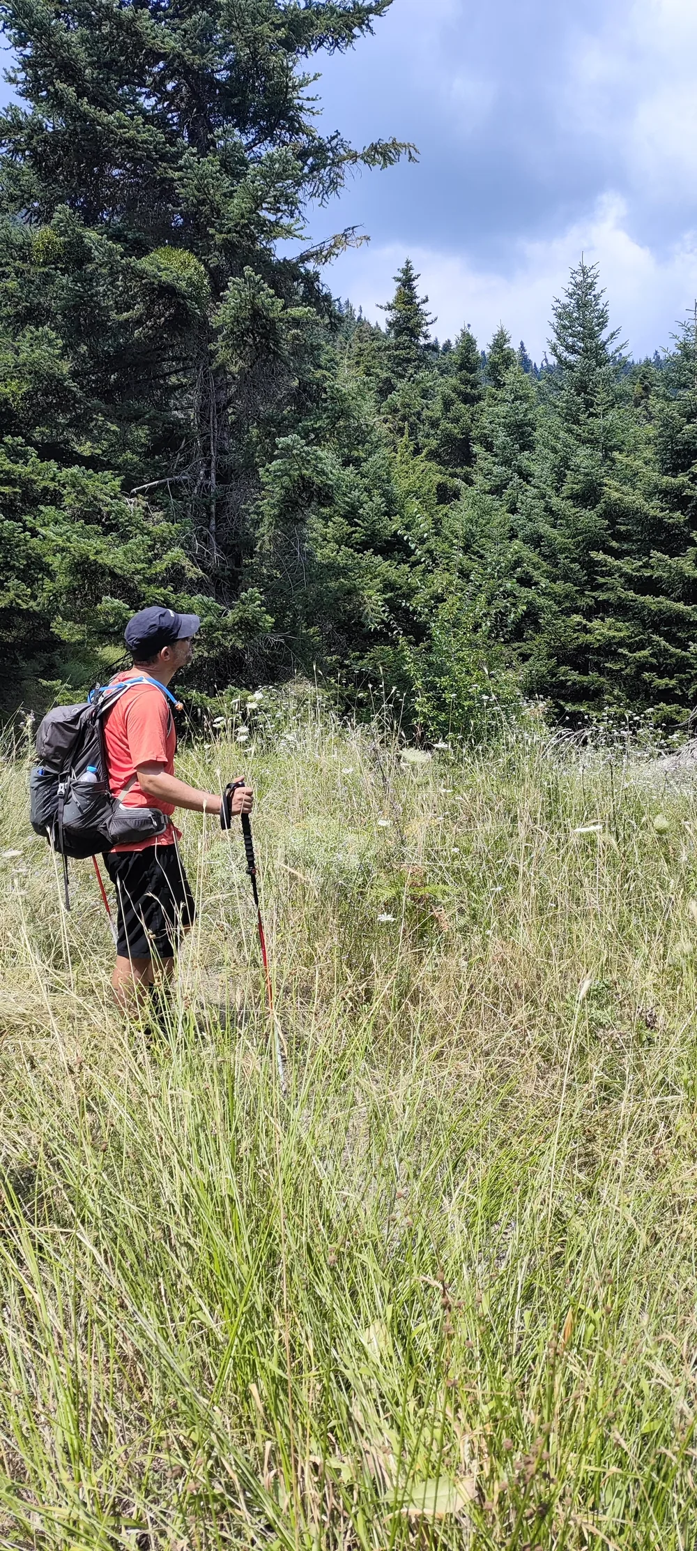 Στιγμή 155 από πεζοπορική διαδρομή του 270 Hike Club