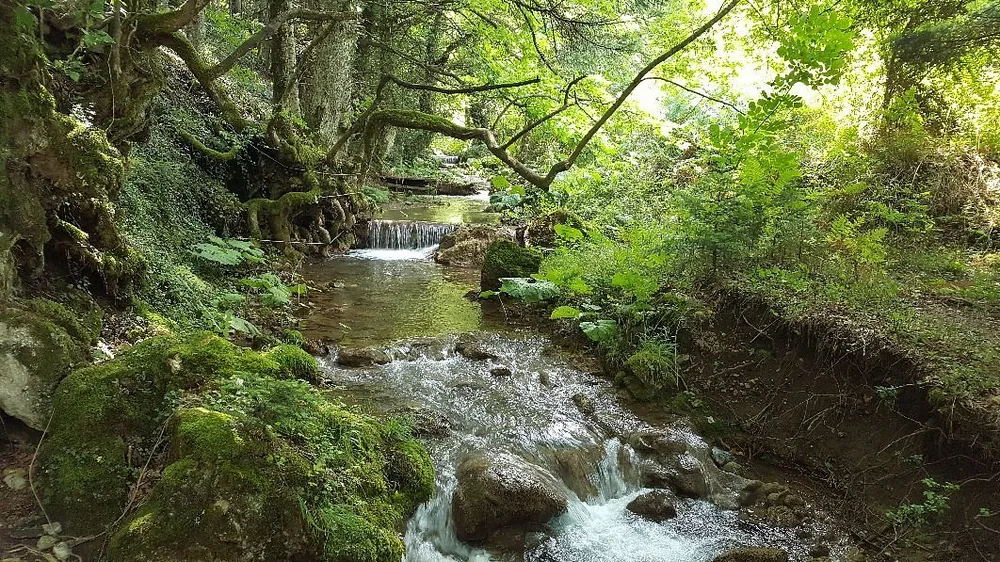 Στιγμή από πεζοπορική διαδρομή του 270 Hike Club